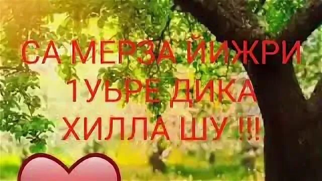 1уьйре дика. 1уьйре Дика хуьлда Шун.