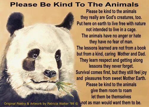 Poem about animals. Be kind to animals. I Love all kinds of animals стих. Poems about Kindness.