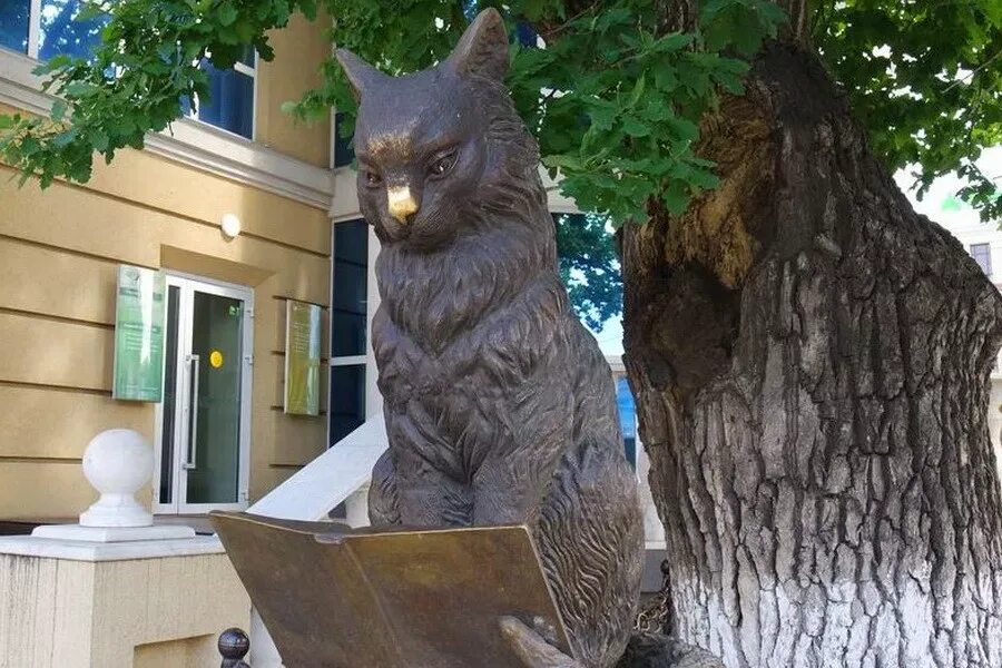 Кот ученый оренбург. Памятник ученому коту в оренбурге. скульптура «кот учёный» гатчина. статуя «кот ученый». калуга.