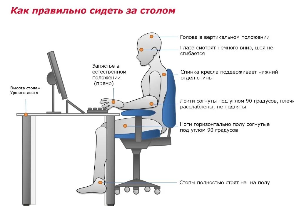 Как правильно читать сидя. Правильная посадка за письменным столом. правильное положение за компьютерным столом. как правильн оситдеть за компьютером. как правильно сидеть за компьютером.