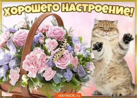 Просто хорошего настроения