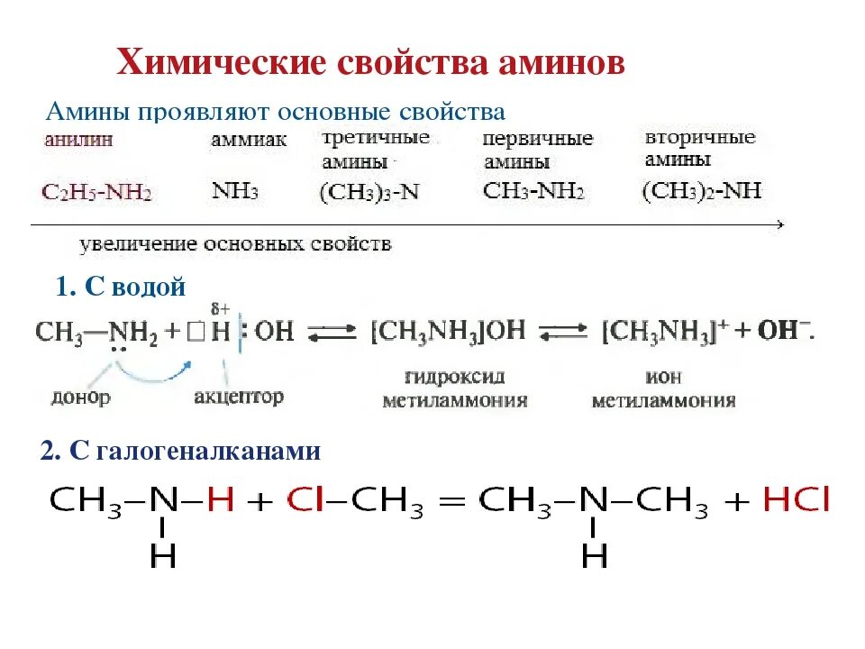 Химические свойства аминокислот кислотно-основные свойства. Химические свойства Аминов взаимодействие с кислотами. Этиламин плюс формальдегид. Вторичный Амины с водой реакция. Гидролиз бутана