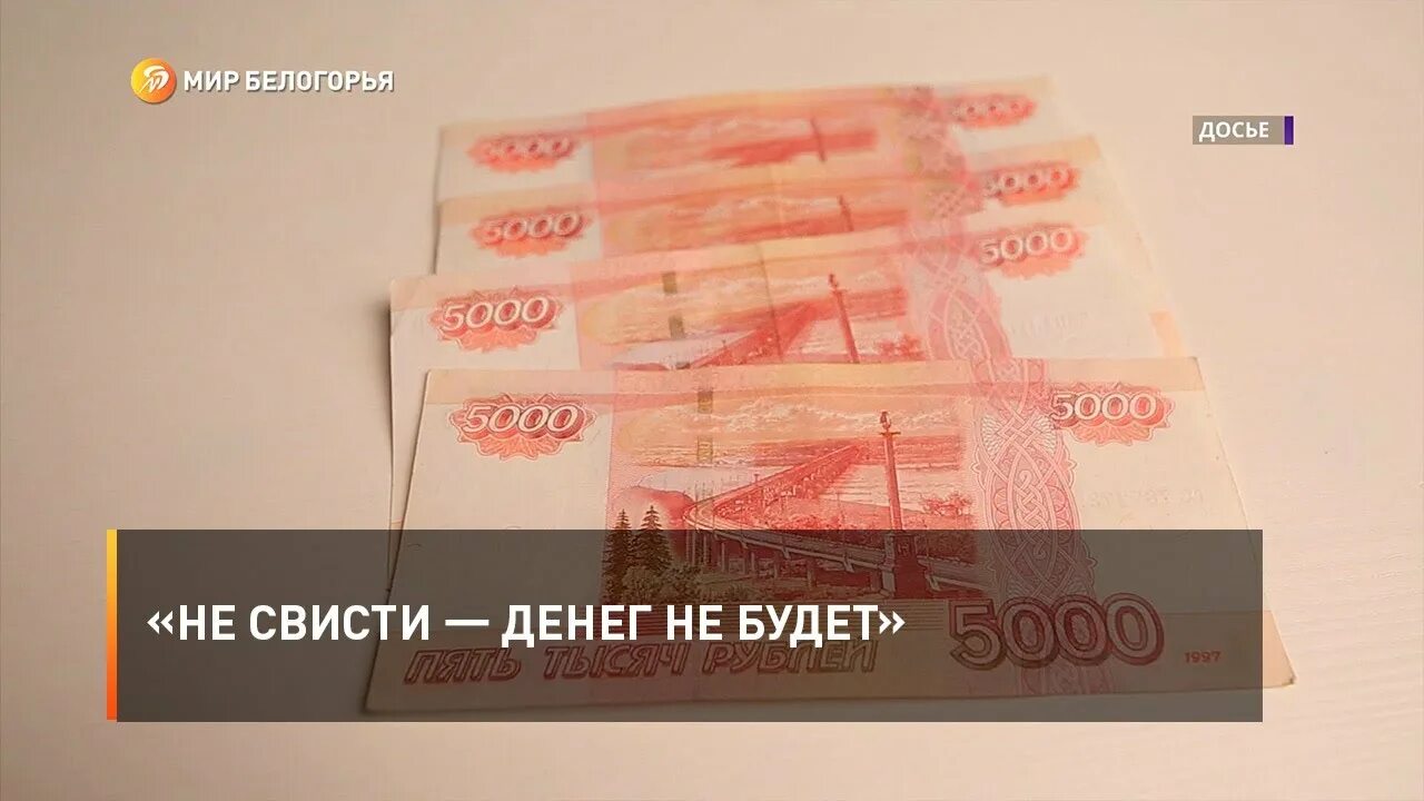 Не свисти денег не будет откуда. Не свисти денег. Не свисти денег не будет. Свисти деньги будут. Не свести денег не будет.