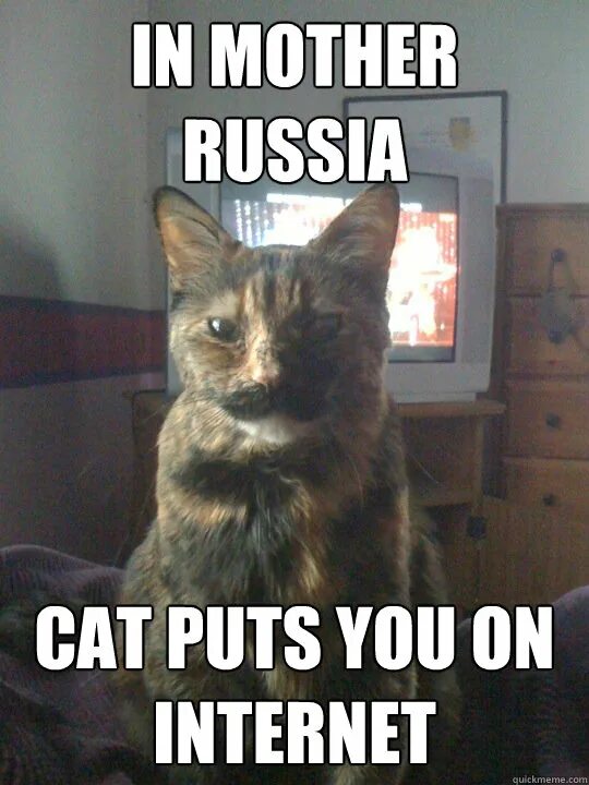 Россия кэт. Russia meme Cat. Russian Cat meme. Soviet Russia Cat. In mother Russia meme.