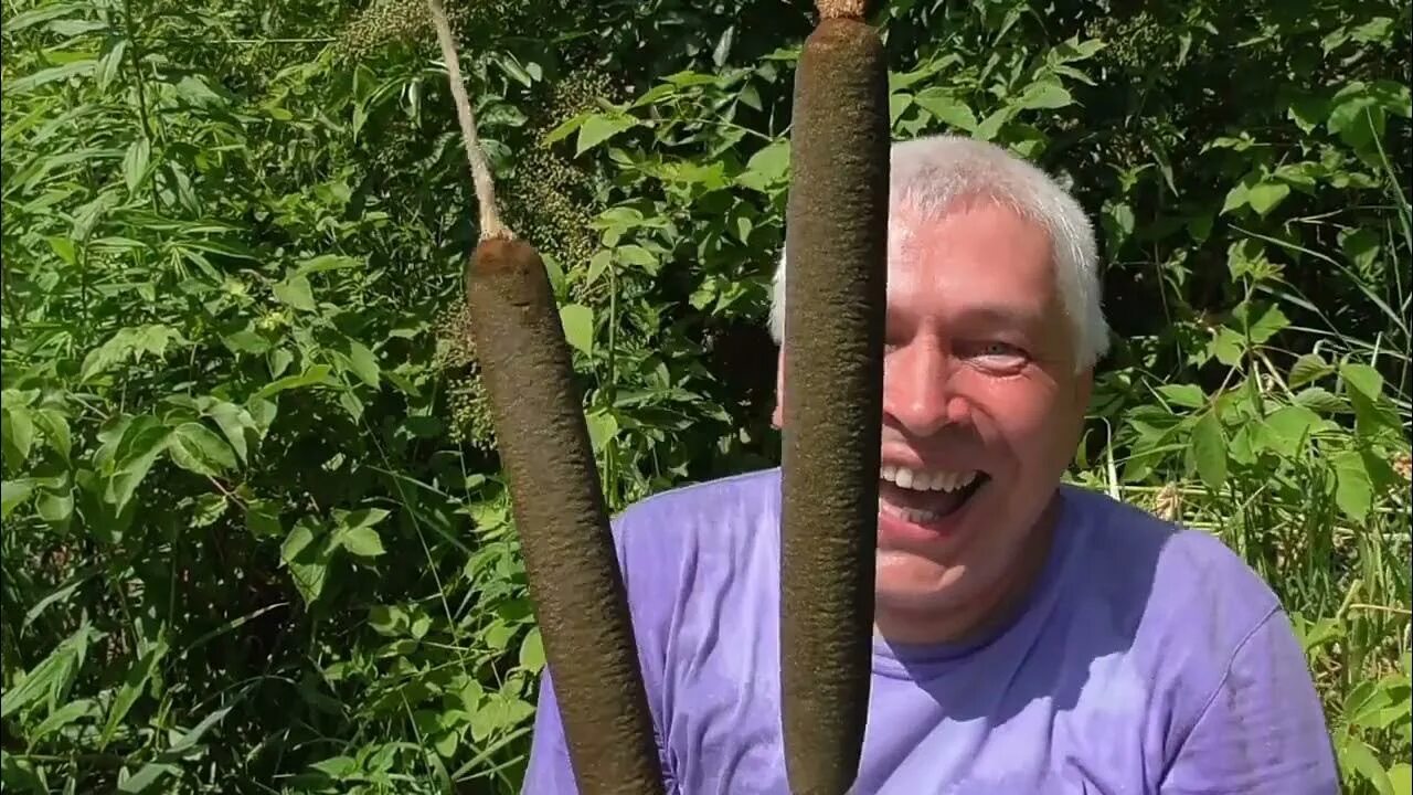 У меня камыш. Горин камыш. а у меня камыш мем.
