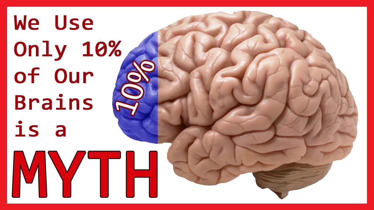 He is a brain. Используй мозг. 10% Мозга. Мозг use it. Мозг используется на 10 процентов миф.