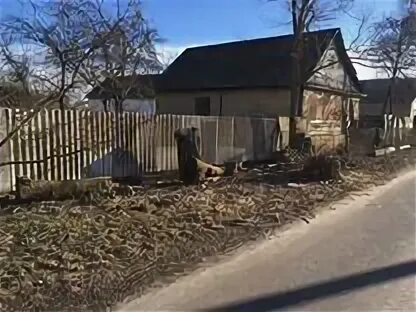 Замостье суджанский