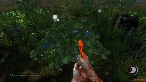 The forest как получить