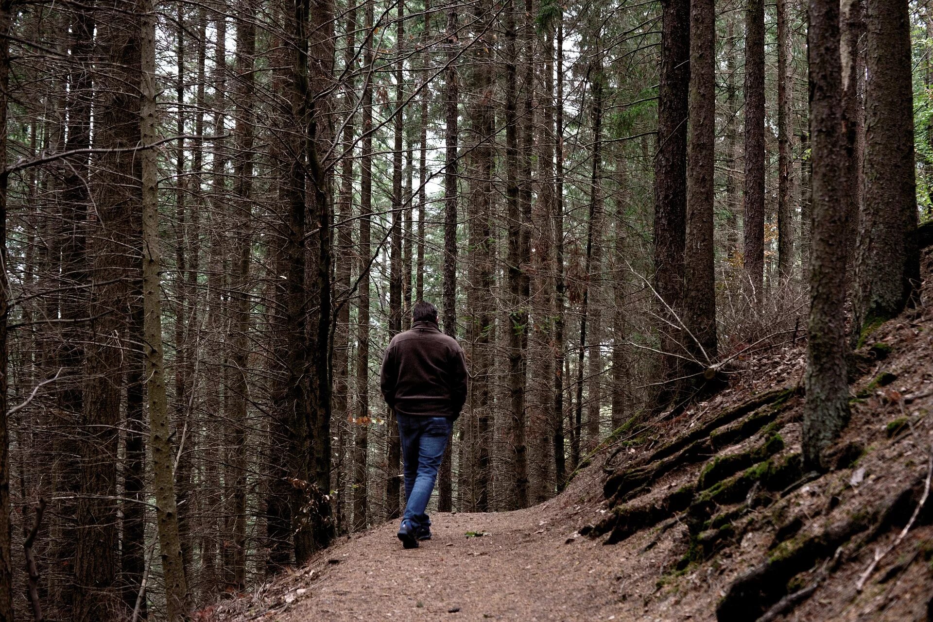 Сходить в лес. Человек в лесу. Человек идет по лесу. Фотосессия в лесу. Парень в лесу.