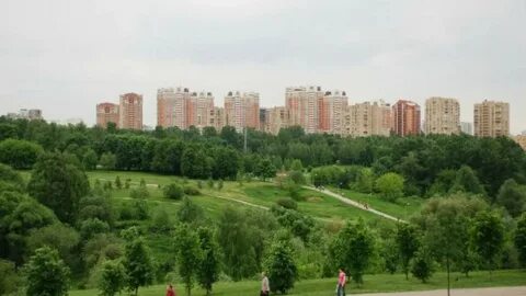 Удальцова сад