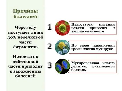 Избыток ферментов