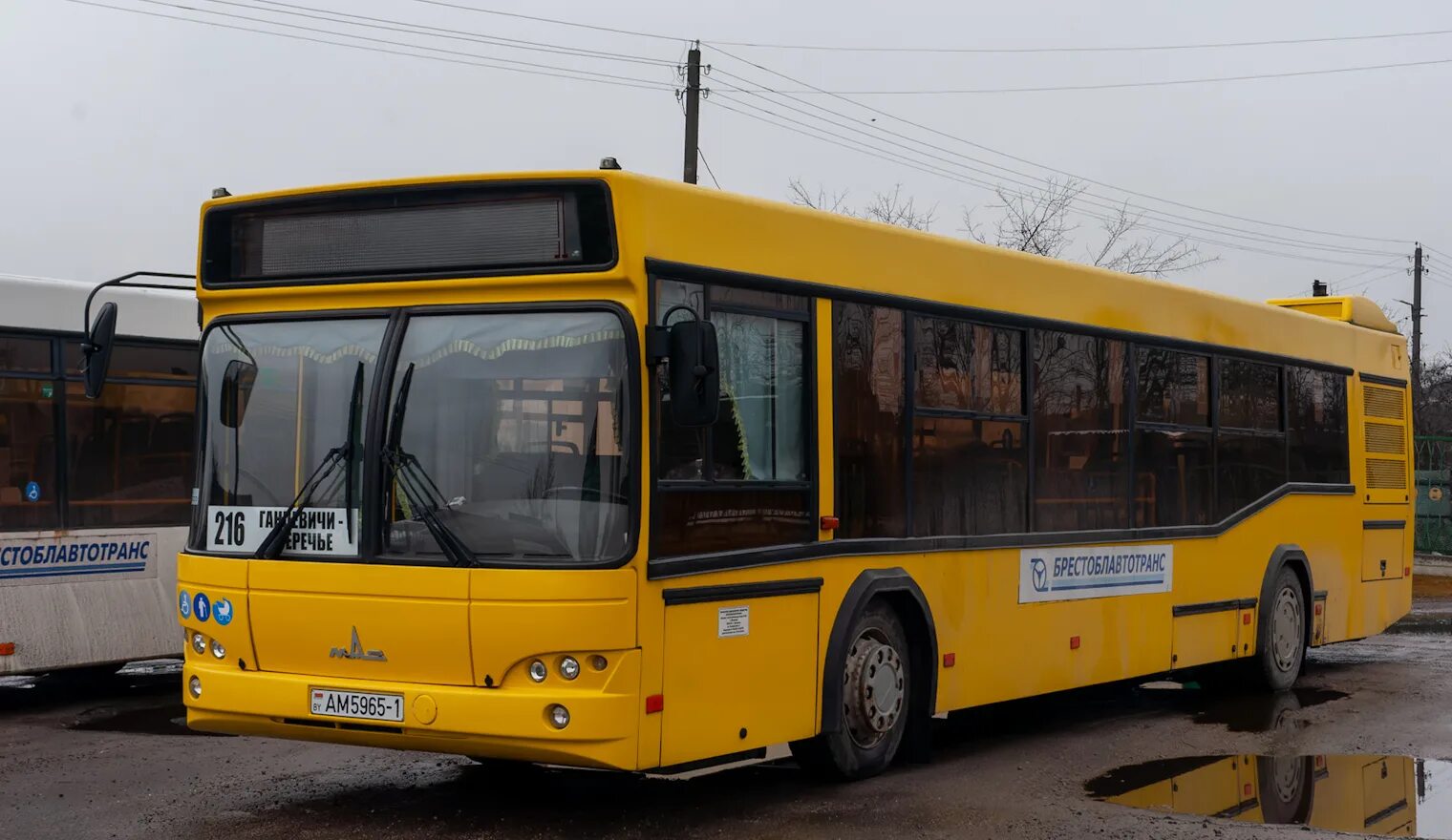 169 автобус колодищи. 169 2014. 169 автобус колодищи. Маз 203. 169 автобус колодищи.