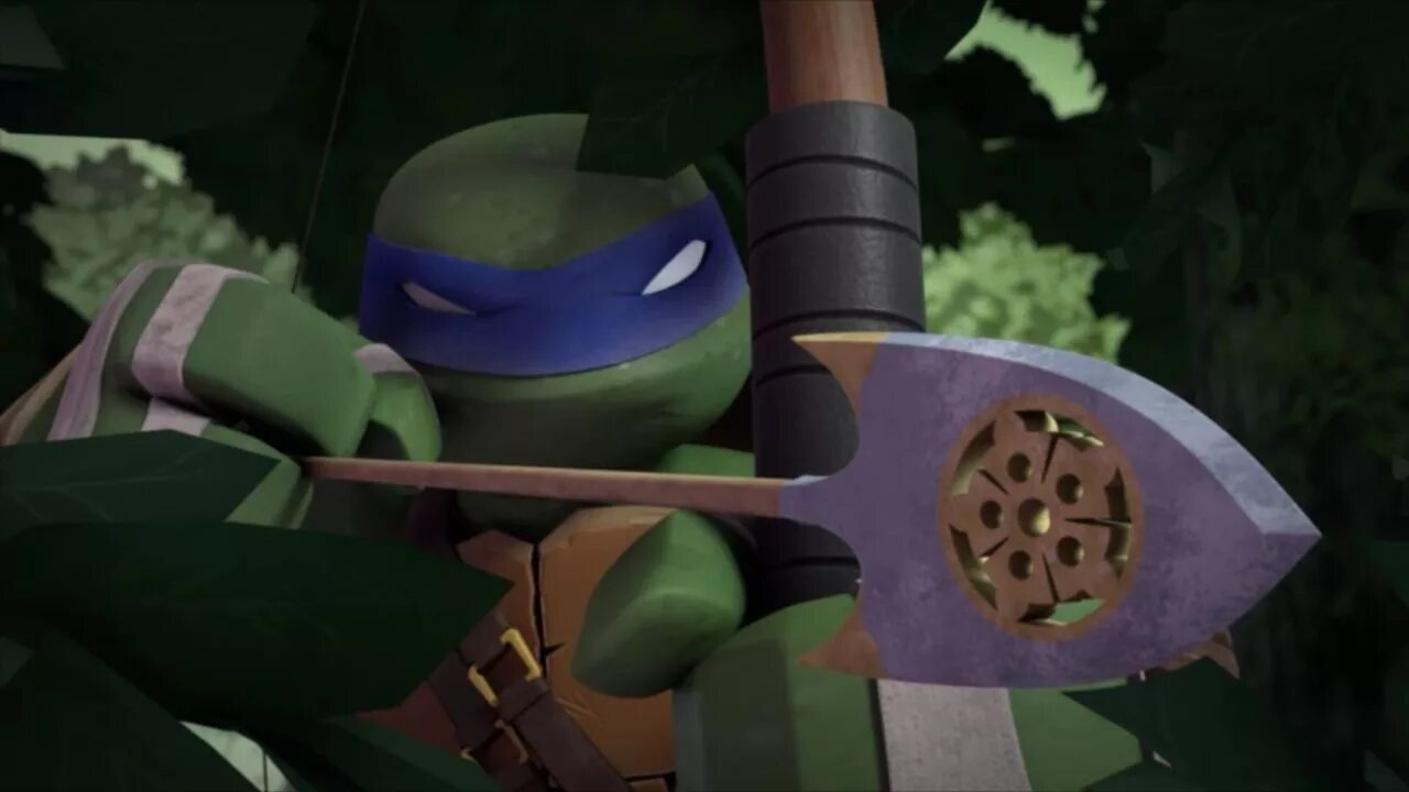 Turtle quest