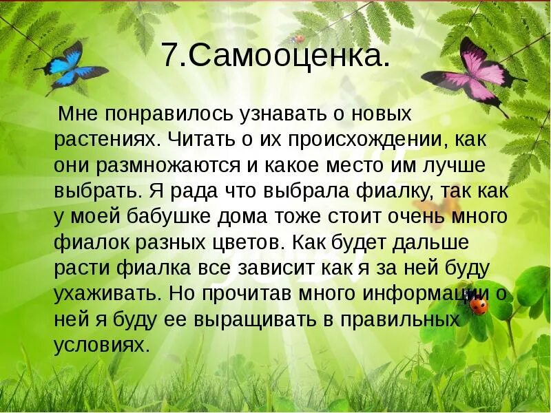 Растение в интерьере жилого дома