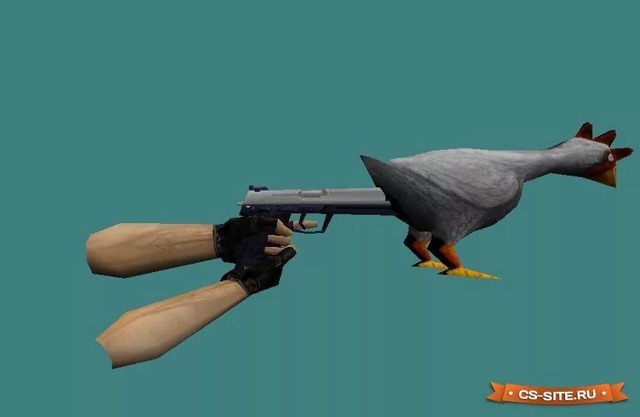 Cs duck