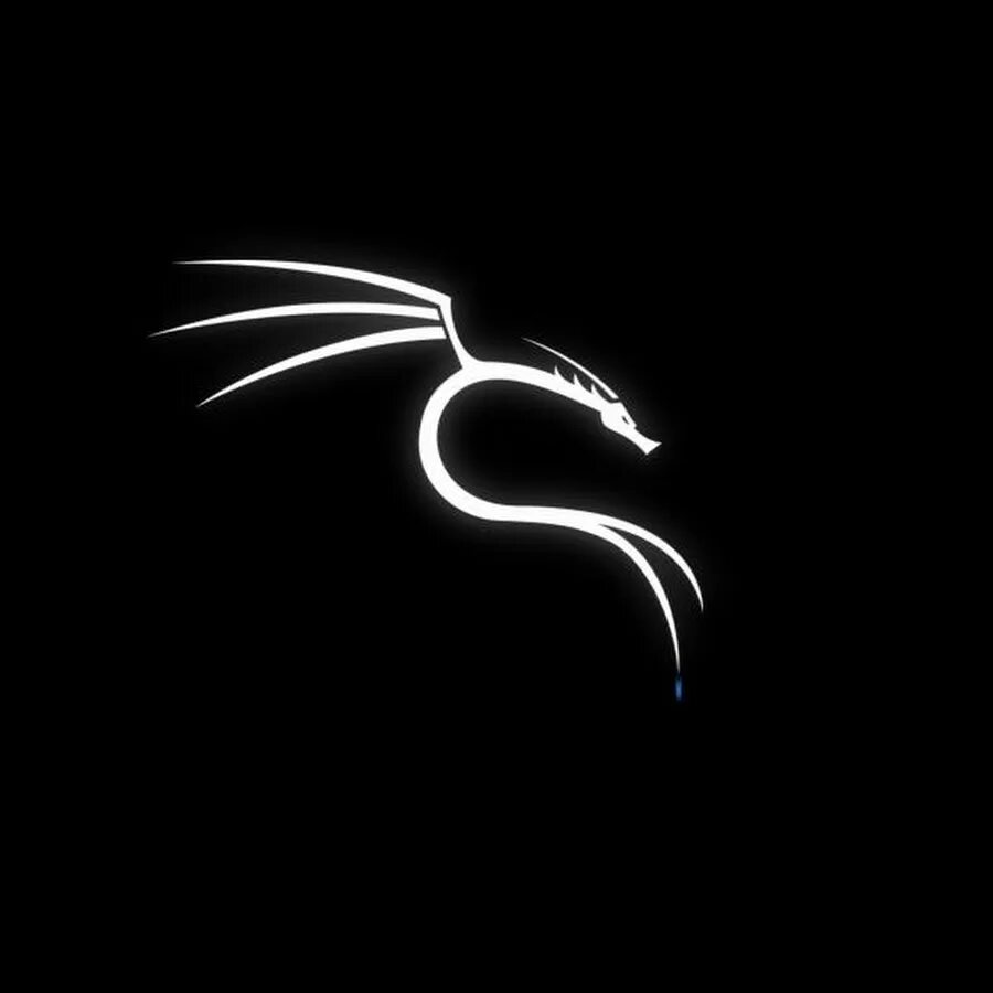 Почему kali linux. Почему kali linux