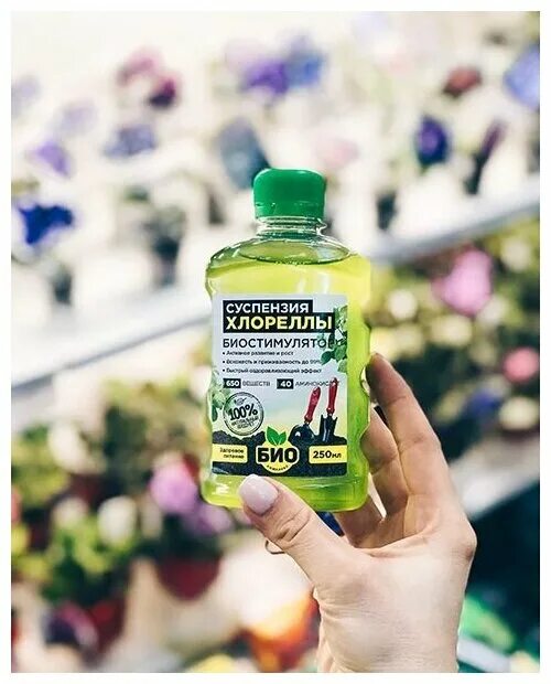Суспензия хлореллы биосистема. Суспензия хлореллы для растений. Бс х9. Суспензия хлореллы 0,250 для рассады. Суспензия хлореллы инструкция по применению.