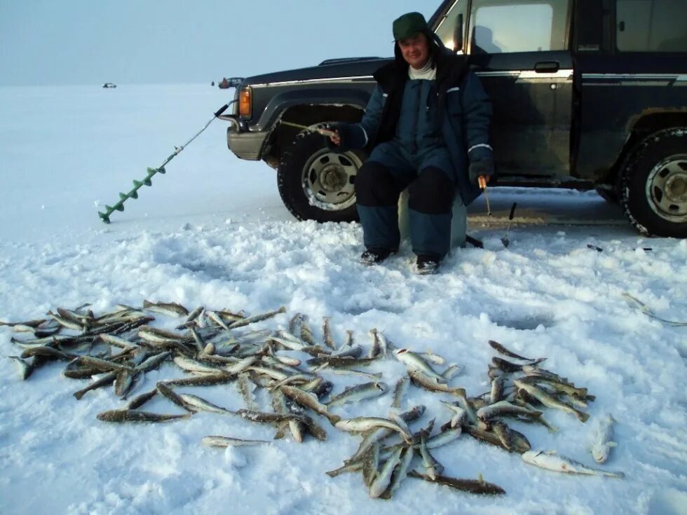Рыбные пруды ропша баня. Рыболовный форум нижнего. Верхнее волозеро. Ленок в садке. Зимняя рыбалка в приморье.