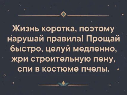 Жизнь коротка нарушайте