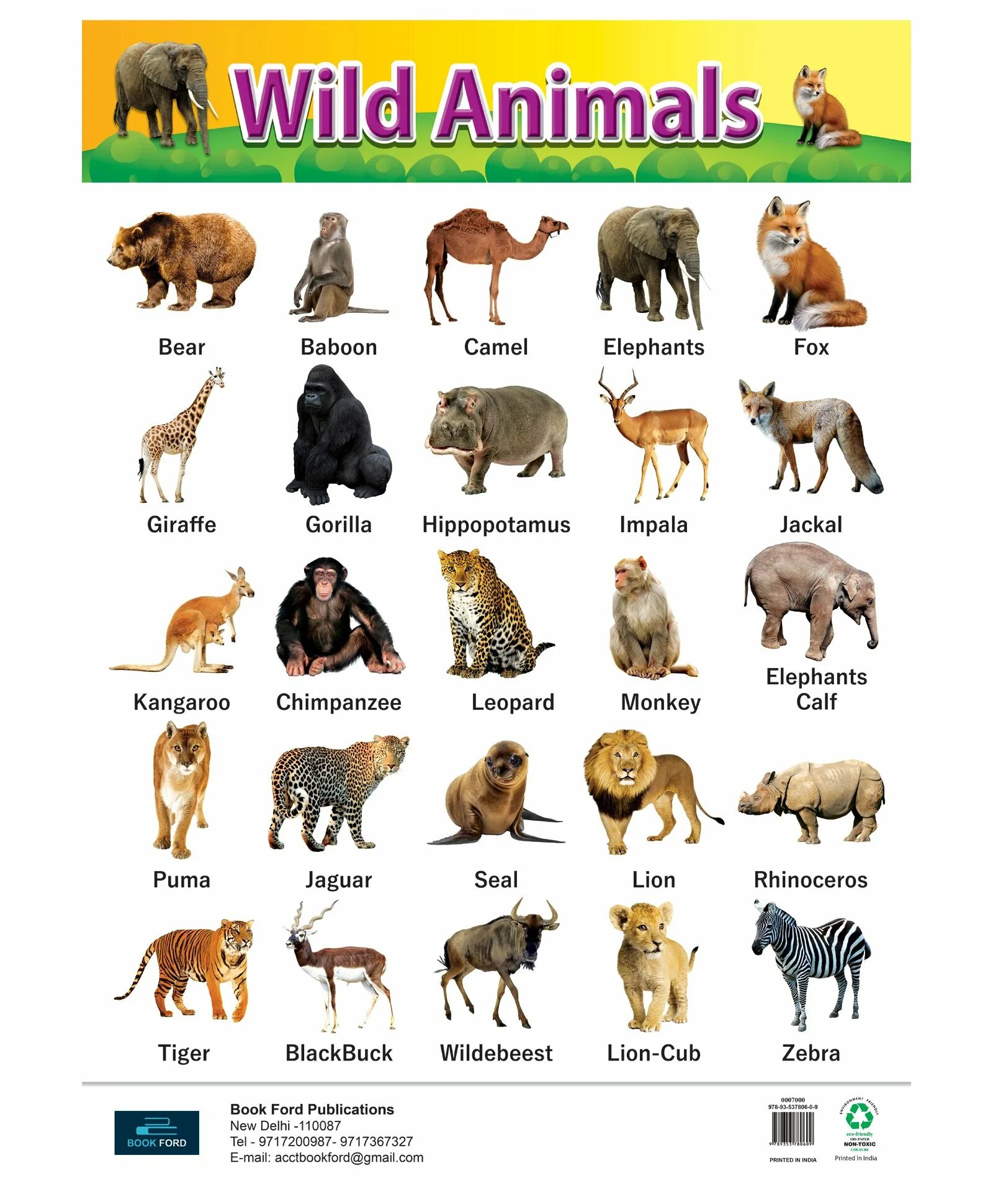 Имя animals