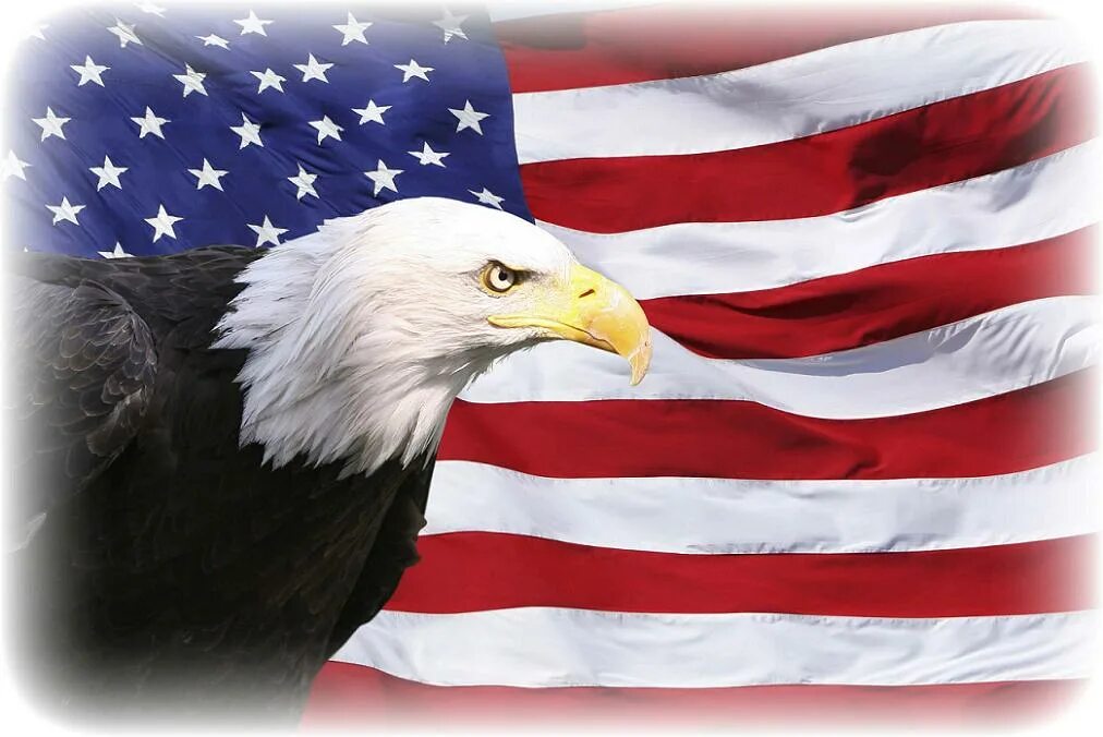 Белоголовый Орлан США. Белоголовый Орлан символ США. Белоголовый Орлан Аляска. Белоголовый Орлан с флагом. 1970 год символ сша