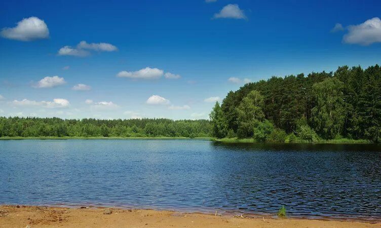 Озеро боровое ногинск. Озеро боровое ногинский. Озеро боровое в буньково. Озеро боровое в буньково. Озеро боровое ногинский.