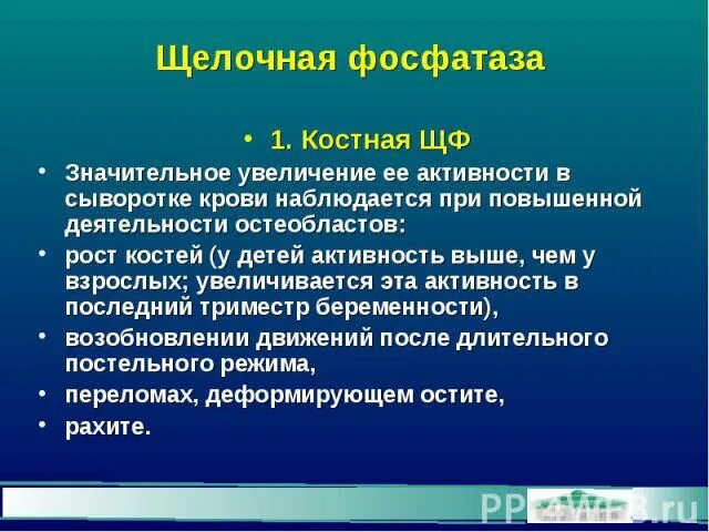 Почему повышена щелочная. Щелочная фосфатаза. Костная щелочная фосфатаза. Щелочная фосфатаза фото. Щелочная фосфатаза остеобласты.