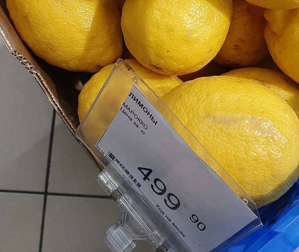 Лимон кг. Замороженный лимон. Килограмм лимонов как правильно. Лимон купить. Вес лимона.