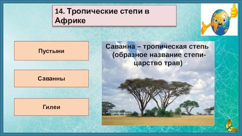 Обобщающий урок по теме африка. Вопросы по теме африка. обобщающий урок африка.