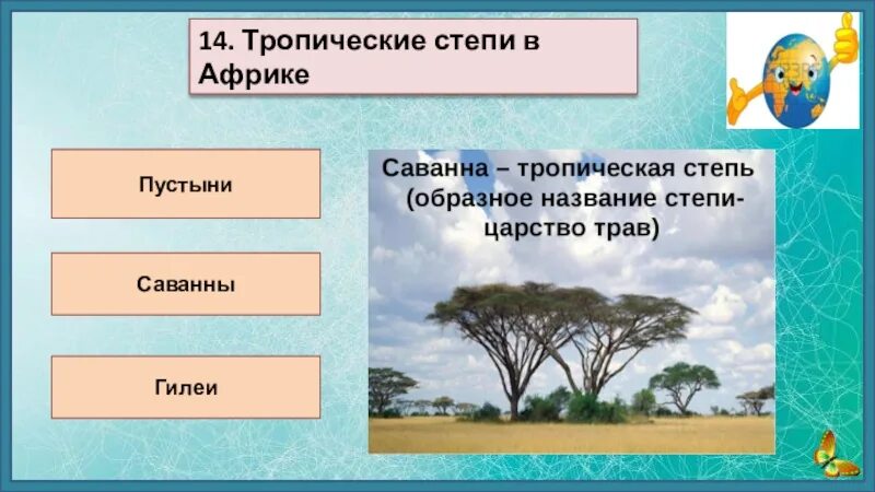 География 7 класс тест по теме африка. Вопросы по теме Африка. Обобщающий урок Африка.