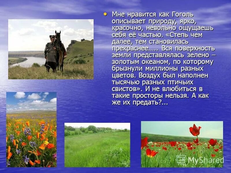 Степь фрагменты краткое содержание. Гоголь степь.