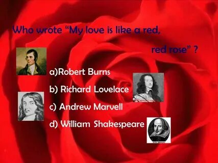 Love burns