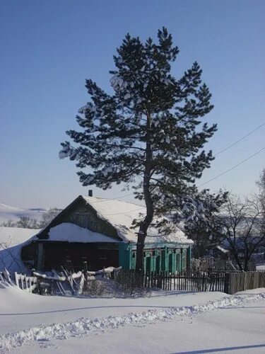 Бугурусланский сельсовет. Узели Бугурусланский район. Старое Тюрино Бугурусланский район. Старые узели Бугурусланский район. Новое Тюрино Бугурусланского района Оренбургской области.