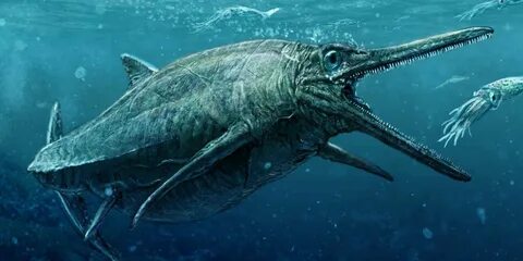 Чудовища морских глубин реальные фото