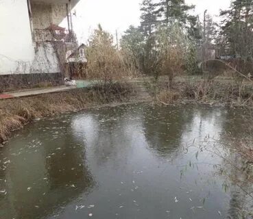 Погода во фрязево снт мечта 2