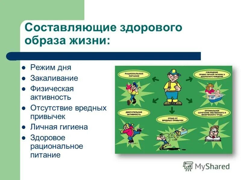 Составляющие здорового образа