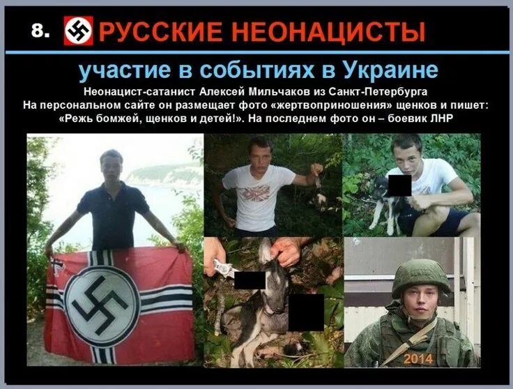 Мемы про неонацистов. Нео неонацизм. Неофашизм идеология. Неонацисты кто это простыми словами. Неонацист это кто простыми.