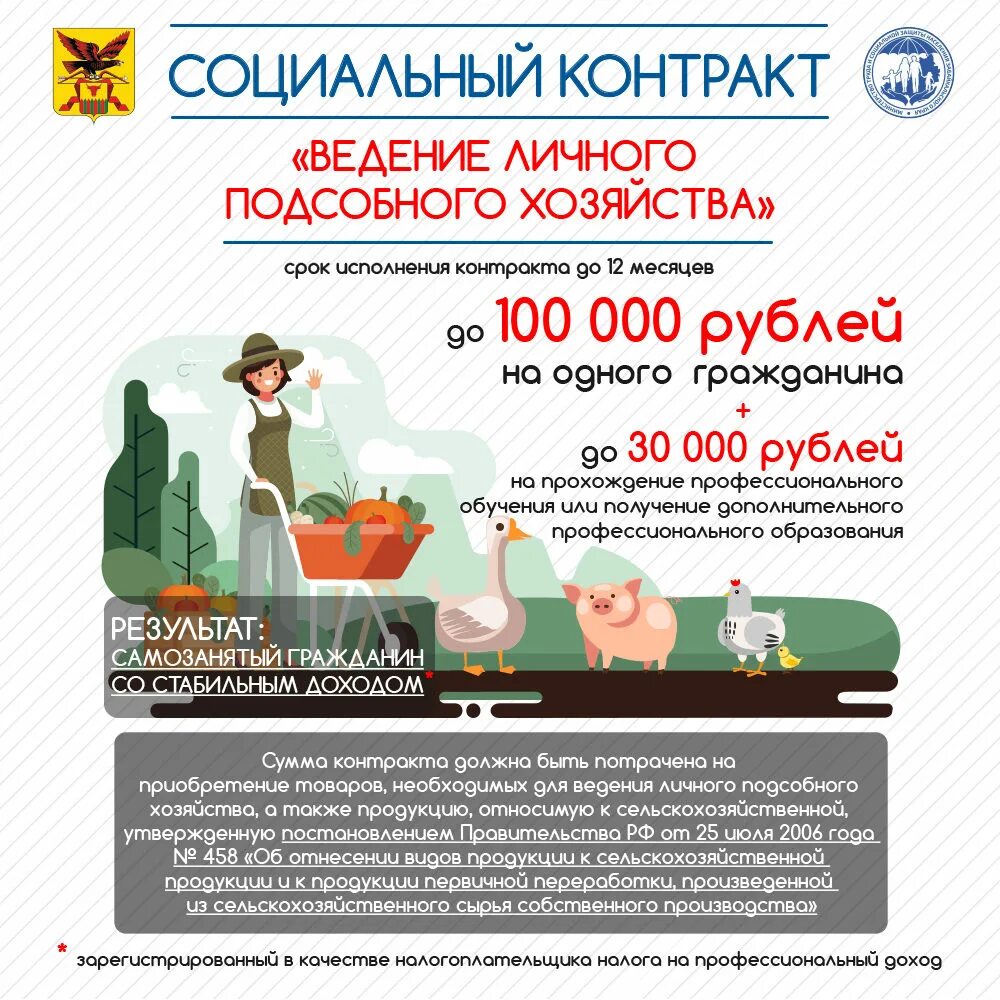 Как оформить лпх 2025. Социальный контракт лпх. социальный контракт на ведение личного подсобного хозяйства. соцконтракт на ведение лпх. соцконтракт на подсобное хозяйство.
