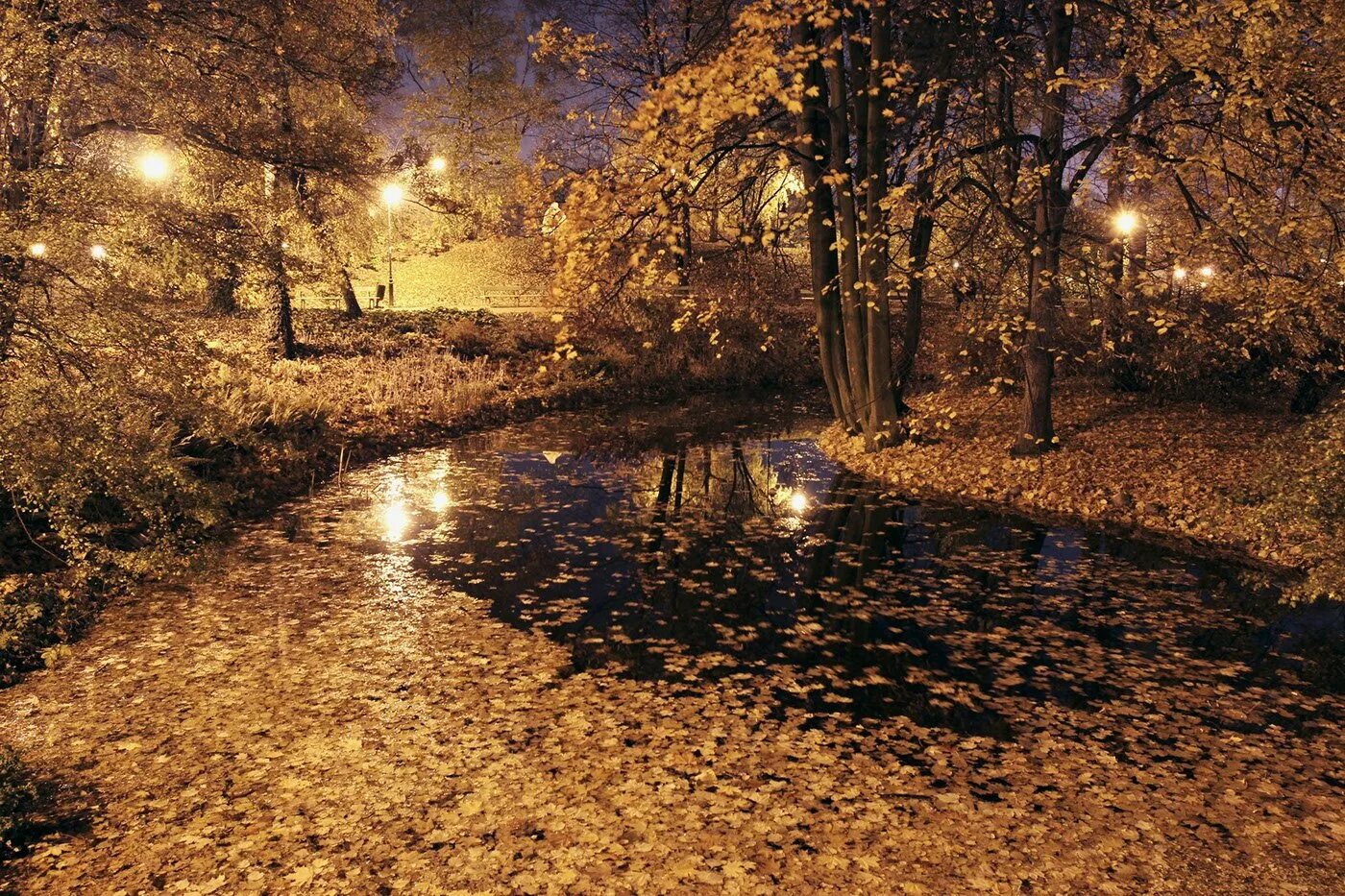 Осенний вечер. Осень вечер. Осень дождь. Дождливый осенний вечер.