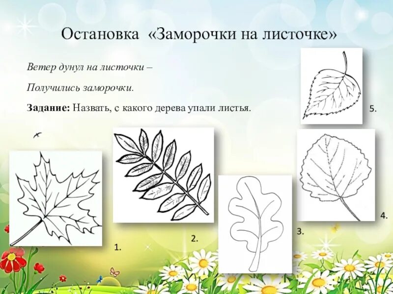 Домашнее задание на листочке. Задания на листочках. задание с какого дерева листик. дорисуй лист.