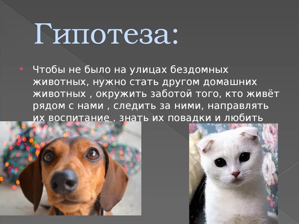 Почему животным необходимо