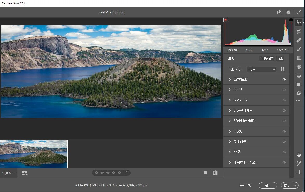 Как пользоваться raw. Камера рав для фотошопа 2025. camera raw photoshop 2025. камера рав панель. camera raw 12.4.
