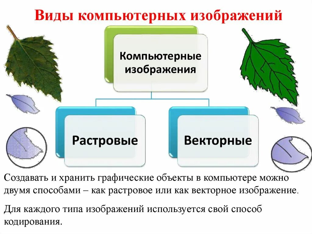 Виды изображений