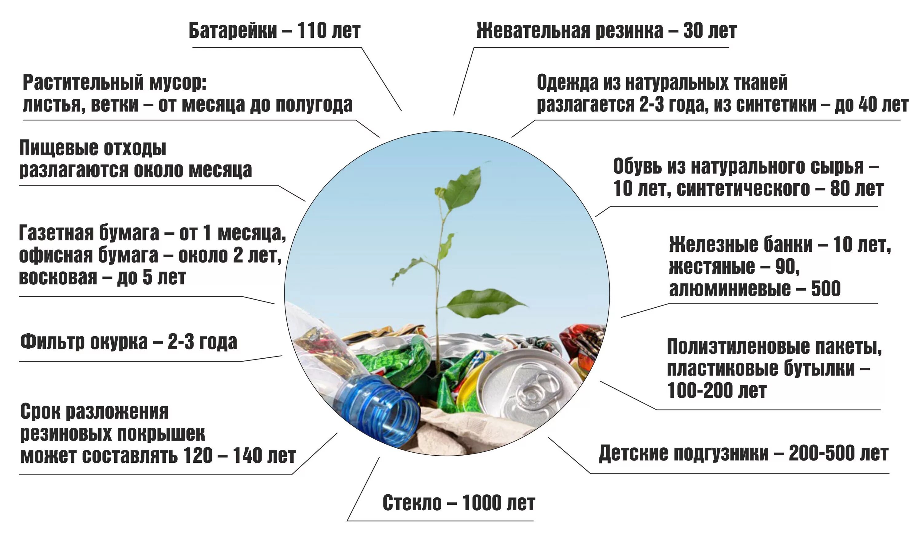 Сроки разложения отходов в окружающей среде. Таблица срок разложения отходов в природе. Период разложения отходов в природе. Срок разложения отходов в природе. Способы переработки растений