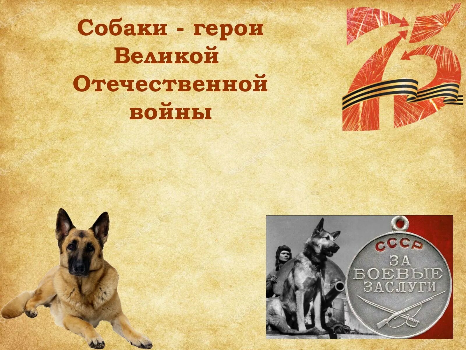 Вольт мультик вольт. Вольт мультфильм пенни. Собачка герой. Собаки герои войны 1941-1945. Собака великой отечественной войны джульбарс.