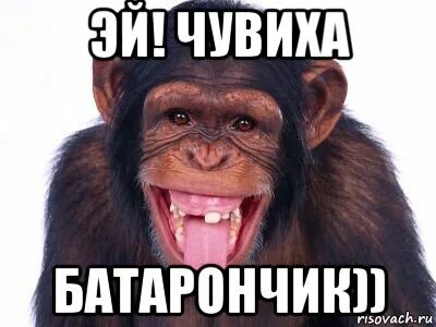 Mos meme