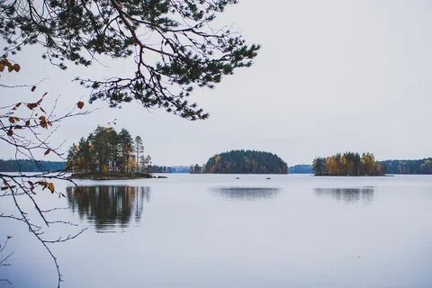 Озеро зеркальное ленинградская