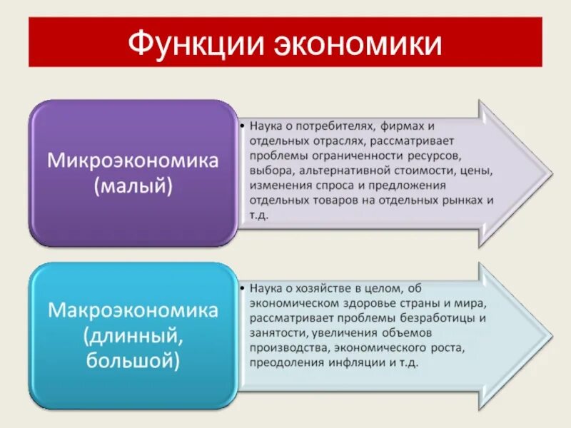 Экономическую функцию системы образования
