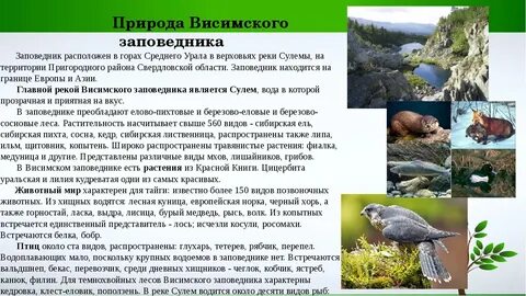 Содержание заповедника