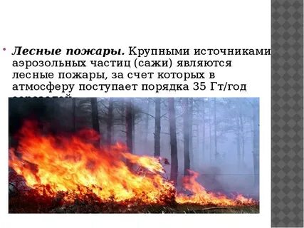 Экологические катастрофы например о лесных пожарах